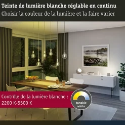 Filament 230 V Smart Home Zigbee 3.0 Ampoules LED ST64 E27 600lm 7,5W Tunable White gradable Doré