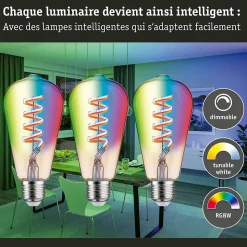 Filament 230 V Smart Home Zigbee 3.0 Ampoules LED ST64 E27 3x470lm 3x6,3W RGBW+ gradable Doré