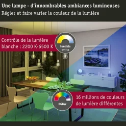 Filament 230 V Smart Home Zigbee 3.0 Ampoules LED ST64 E27 3x470lm 3x6,3W RGBW+ gradable Doré
