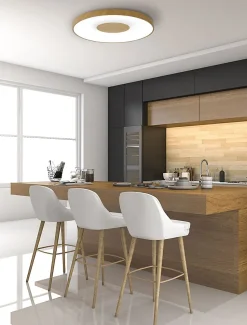 Grande lampe de plafond Coin LED