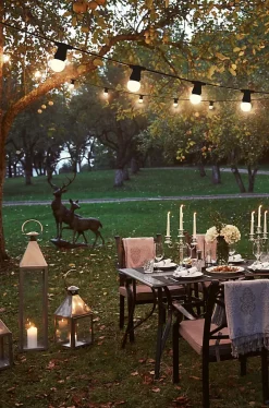 Guirlande extérieure 10 ampoules B22 blanc chaud 500 lumens Pro 10m TIBELEC