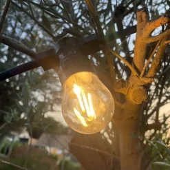 Guirlande guinguette B22 filament - Chromex