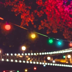 Guirlande Guinguette IP65 10M 30 Bulbes multico