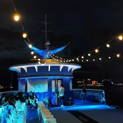 Guirlande Guinguette LED 10M IP44 pour 10 ampoules E27 (non fournies) - SILAMP