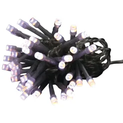 Guirlande électrique bicolore 40 Led