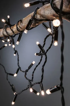 Guirlande Link+Light IP44 3000K 72 x 2lm 12V Paulmann