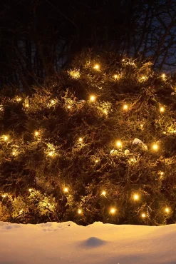 Guirlande Lumineuse LED Extérieure, 100 x LED, 9,2W, 1,7 x 2 m, IP44 - Markslöjd - Chrissline