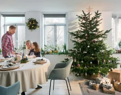 Guirlande lumineuse LED intérieure blanc chaud câble transparent 1,65 m décor boule