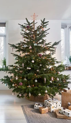 Guirlande lumineuse LED intérieure blanc chaud câble transparent 1,65 m décor boule