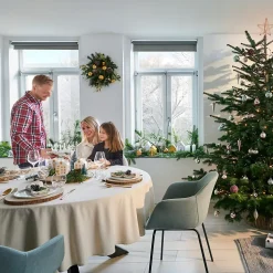 Guirlande lumineuse LED intérieure blanc chaud câble transparent 1,65 m décor boule