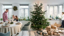 Guirlande lumineuse LED intérieure blanc chaud câble transparent 1,65 m décor boule