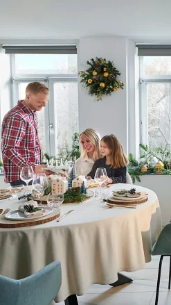 Guirlande lumineuse LED intérieure blanc chaud câble transparent 1,65 m décor boule