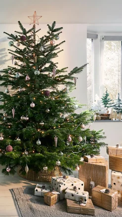 Guirlande lumineuse LED intérieure blanc chaud câble transparent 1,65 m décor boule