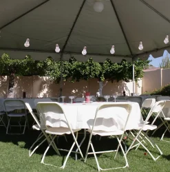 Guirlande lumineuse LED solaire Ampoule extérieur plastique claire transparente avec LED intégrée