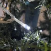 Guirlande Lumineuse 12m Câble Transparent 100 Leds Blanc froid