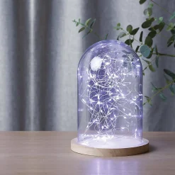 Guirlandes - 100 micro LED - argent et blanc froid - L1000 cm - Atmosphera