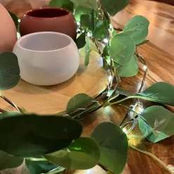 Guirlandes branches lumineuses d'eucalyptus à piles - Chromex