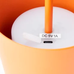 KAAMI lot de 2 lampes extérieures LED intégrée 2W orange mat 310 lumen 3000 kelvin IP44