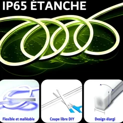 Kit de Néon flexible LED RGB 5m, DC 12V, APP/Télécommande, Plusieurs modes, IP65 étanche