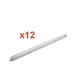 Kit de Réglette LED étanche + 1 Tube Néon LED 150cm T8 22W (Pack de 12) - Blanc Neutre 4000K - 5500K - SILAMP