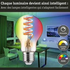 Kit Filament 230 V Ampoule LED 5x470lm 5x6,3W RGBW+ gradable Doré