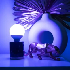 KOZii - Ampoule Connectée KOZii SMD E27 1521 lumens G95, éclairage blancs + couleurs - KE1500BRVBCCT