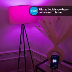 KOZii - Ampoule Connectée KOZii SMD E27 1521 lumens G95, éclairage blancs + couleurs - KE1500BRVBCCT