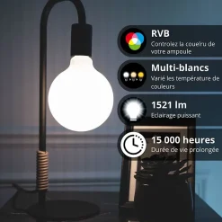 KOZii - Ampoule LED connectée KOZii, éclairage multi-blancs, Filament E27 G125 Opaque 7W cons. - KRFE806B125OCCT