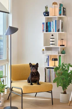 Lampadaire LED Zafferano Pina XXL doré, rechargeable, 6W IP65, variateur, tête magnétique, pour intérieur/extérieur