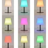 Lampe à poser d'extérieur solaire LED intégrée RGB dimmable 2W Corep