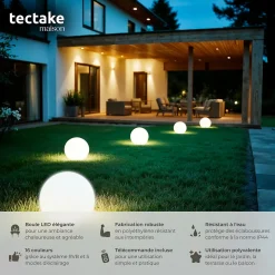 Lampe boule avec éclairage LED 12 W avec télécommande et ampoule