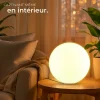 Lampe boule avec éclairage LED 12 W avec télécommande et ampoule