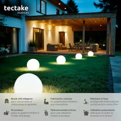 Lampe boule avec éclairage LED 12 W avec télécommande et ampoule