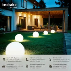 Lampe boule avec éclairage LED 12 W avec télécommande et ampoule