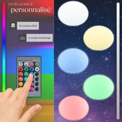 Lampe boule avec éclairage LED 12 W avec télécommande et ampoule