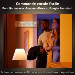 Lampe connectée Philips Hue Iris Noir