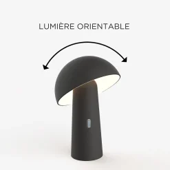 Lampe de jardin sur batterie Shitake noir IP44 7.5W blanc chaud Newgarden H.25cm