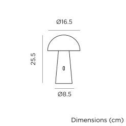 Lampe de jardin sur batterie Shitake noir IP44 7.5W blanc chaud Newgarden H.25cm