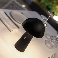 Lampe de jardin sur batterie Shitake noir IP44 7.5W blanc chaud Newgarden H.25cm