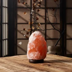 Lampe De Sel - Home Deco Factory - Socle Bois - Rose - H17 X L10 X P12 Cm