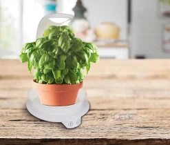 Lampe de table LED pour plantes de 24 cm de haut, en métal et plastique blanc, avec LED intégrée