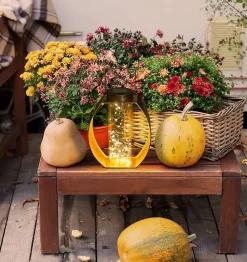 Lampe solaire LED Fairylight terrasse balcon table métal noir or acrylique 26x19,5x12,5cm LED fixes