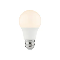Lot 30 ampoules LED Diall E27 8W 806lm blanc chaud
