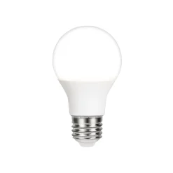 Lot 2 ampoules LED GLS Jacobsen E27 806 lm 7.3W 60W blanc chaud blanc