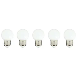 Lot de 5 ampoules compatible guirlande PARTY BULB WHITE Blanc Plastique E27