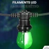 Lot de 10 Ampoules Guirlande Guinguette Led E27 vert - 2W