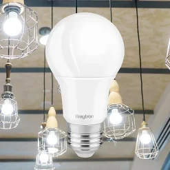 Lot de 50 ampoules LED A60 9W (Eq. 60W) E27 3000K