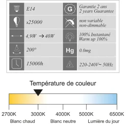 Lot de 10 ampoules LED E14 flamme 4,9W 470Lm 3000K - garantie 2 ans