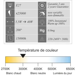 Lot de 10 ampoules LED E27 standard 5,5W 510Lm 3000K - garantie 2 ans