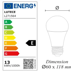Lot de 10 ampoules LED E27 13W (équiv. 100W) 1521Lm 6500K - garantie 5 ans